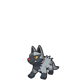 Poochyena