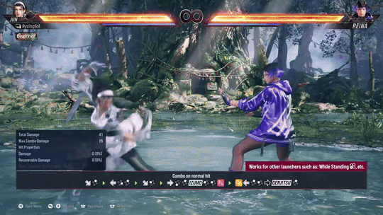 Jun Kazama Combo