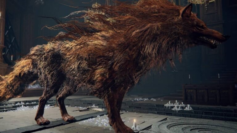 Red Wolf of Radagon Boss Guide Elden Ring