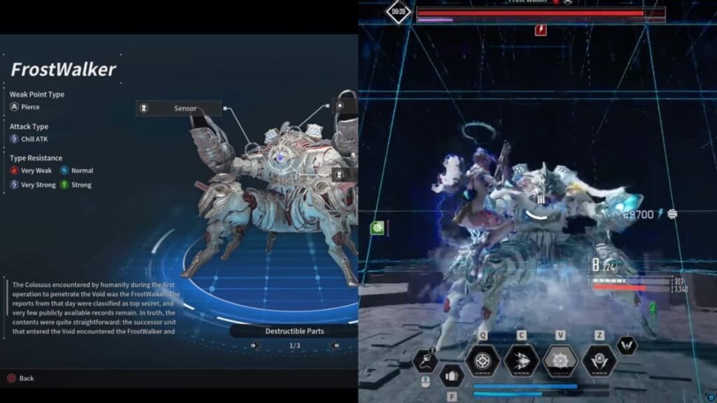 Frost Walker The First Descendant
