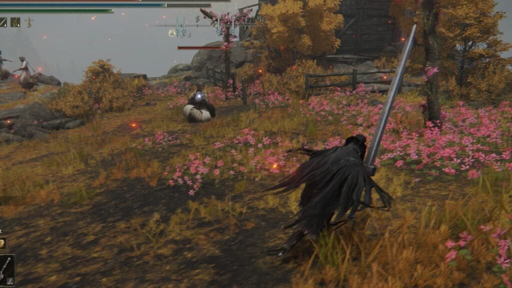 Elden Ring characters fighting.