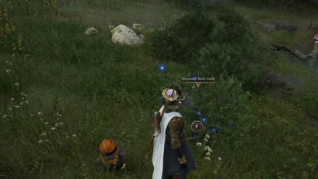 Bloomed Wild Herb resource gathering Throne and Liberty