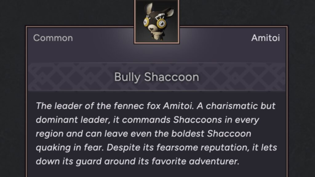Bully Shaccoon Amitoi
