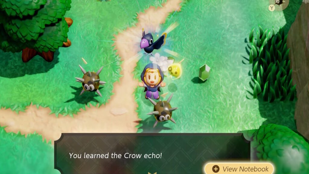 Crow echo for making rupees in Zelda Echoes of Wisdom