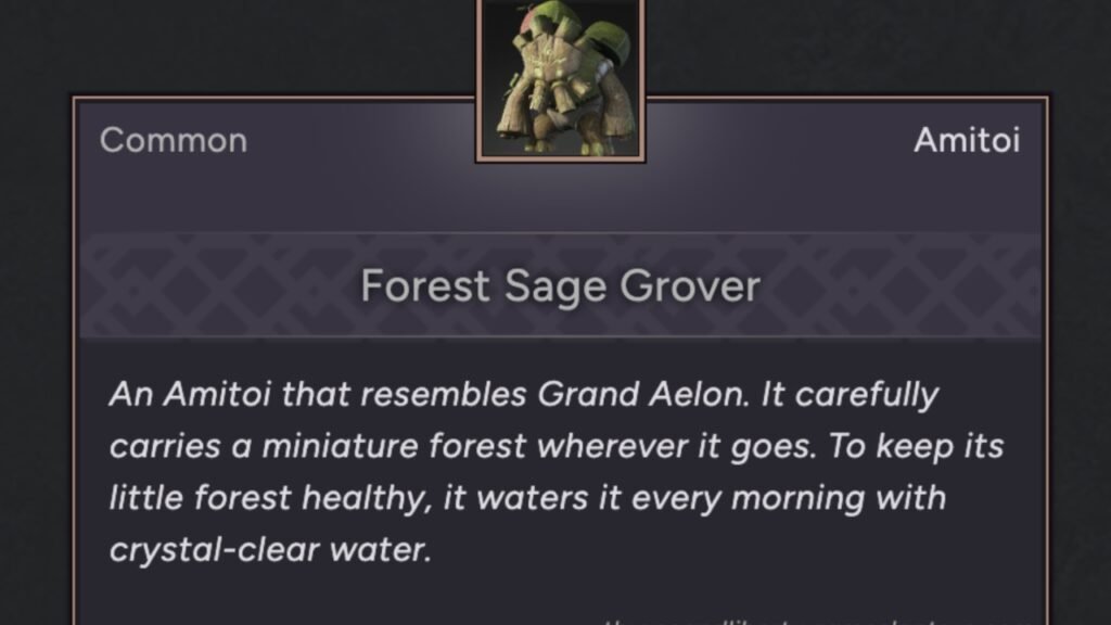 Forest Sage Grover Amitoi