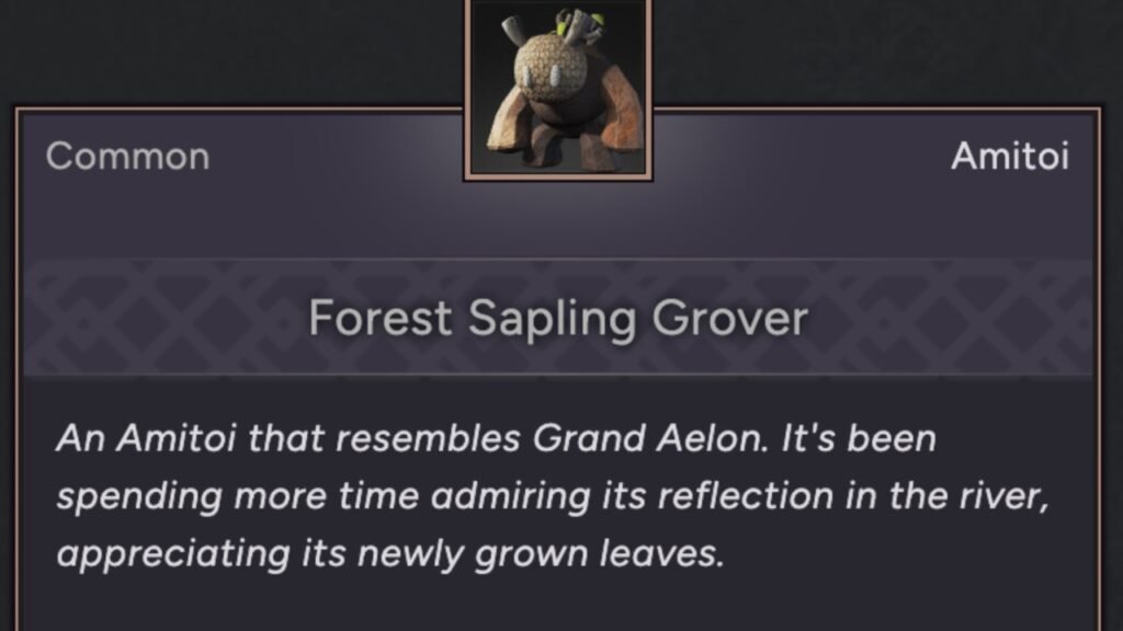 Forest Sapling Grover Amitoi