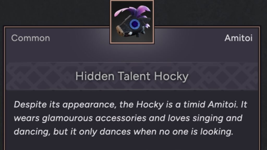 Hidden Talent Hocky Amitoi