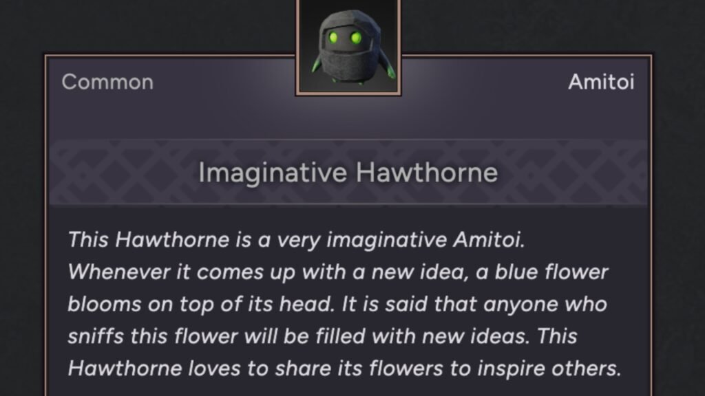 Imaginatie Hawthorne Amitoi