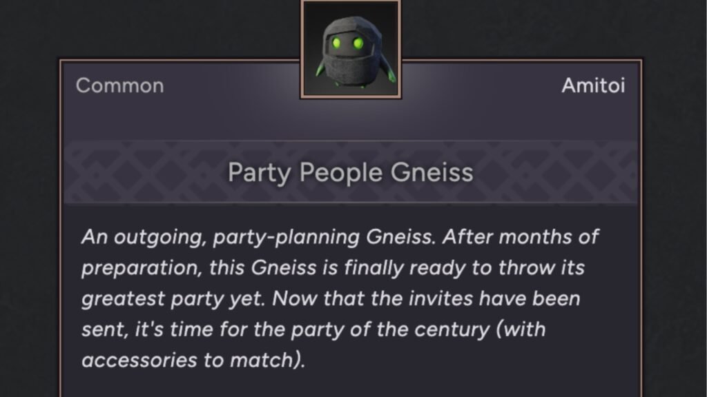 Party People Gneiss Amitoi