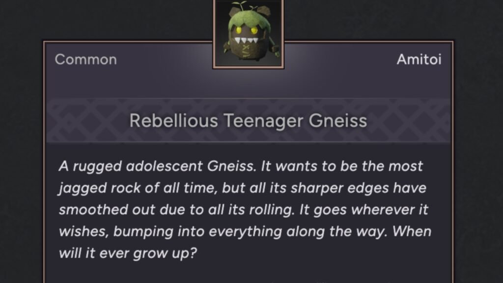 Rebellious Teenager Gneiss Amitoi