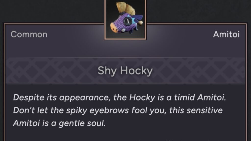 Shy Hocky Amitoi
