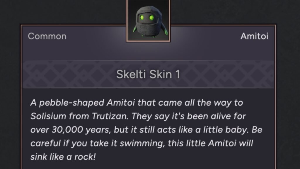Skelti Skin 1 Amitoi