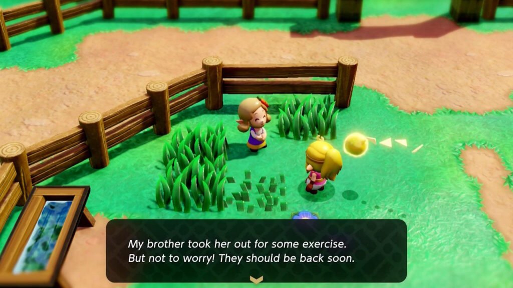 Zelda Echoes of Wisdom Impa's Quest for horse