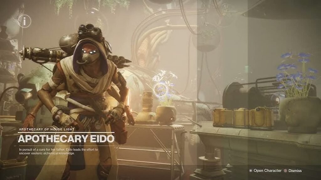 Eido in Destiny 2