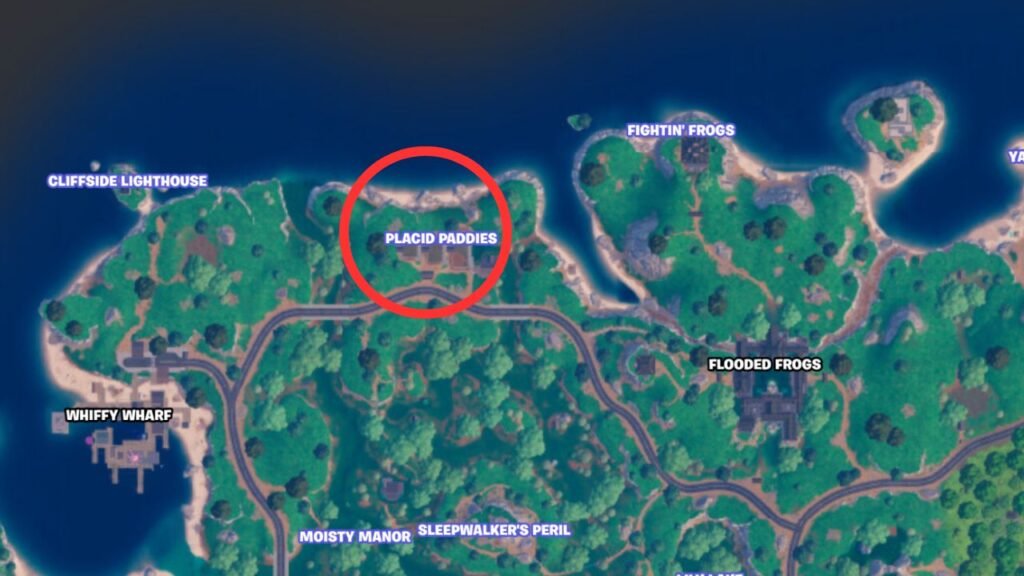Placid Paddies in Fortnite