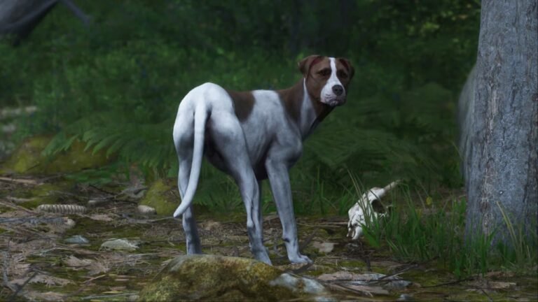 How to find food for Mutt in Kingdom Come Deliverance 2