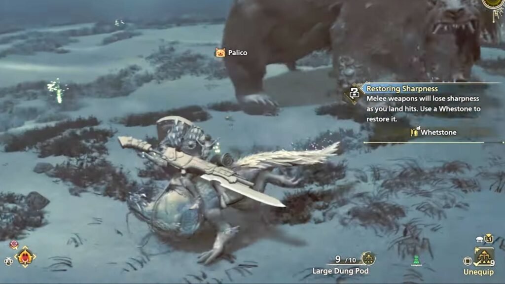 Sharpening Weapon While on Seikret