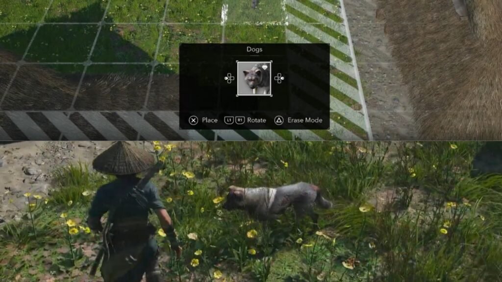 Pets in Assassin's Creed Shadows